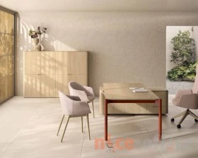 Кабинет руководителя Terra (of) images
