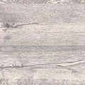 Дуб нордик