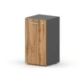 Дуб натюрель/Черный графит